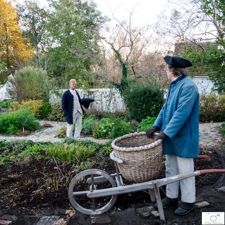 Preparing the gardens for winter -- December, 2011