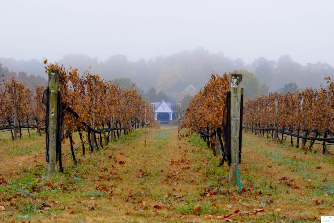 The Gazebo In The Vineyards - November 2014