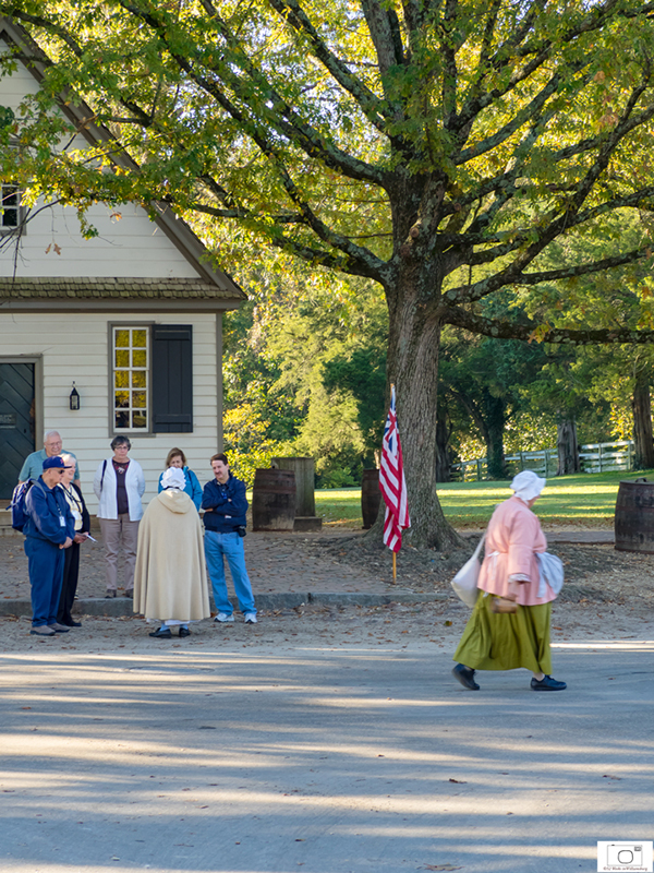 Autumn Morning Tours in CW - October 2015