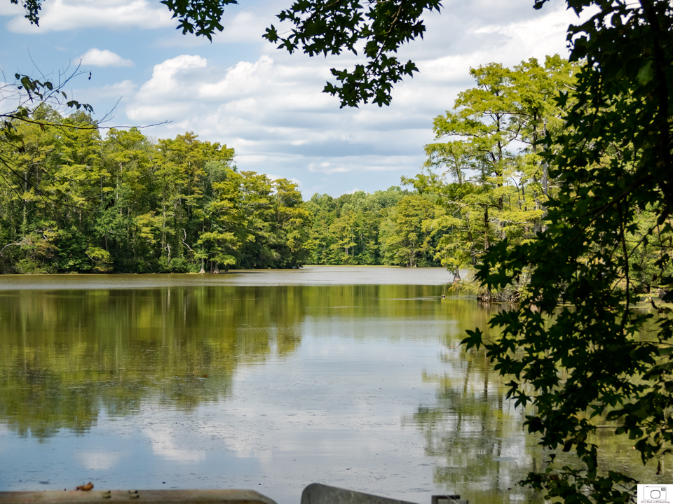  Jolly Pond -- September 2016